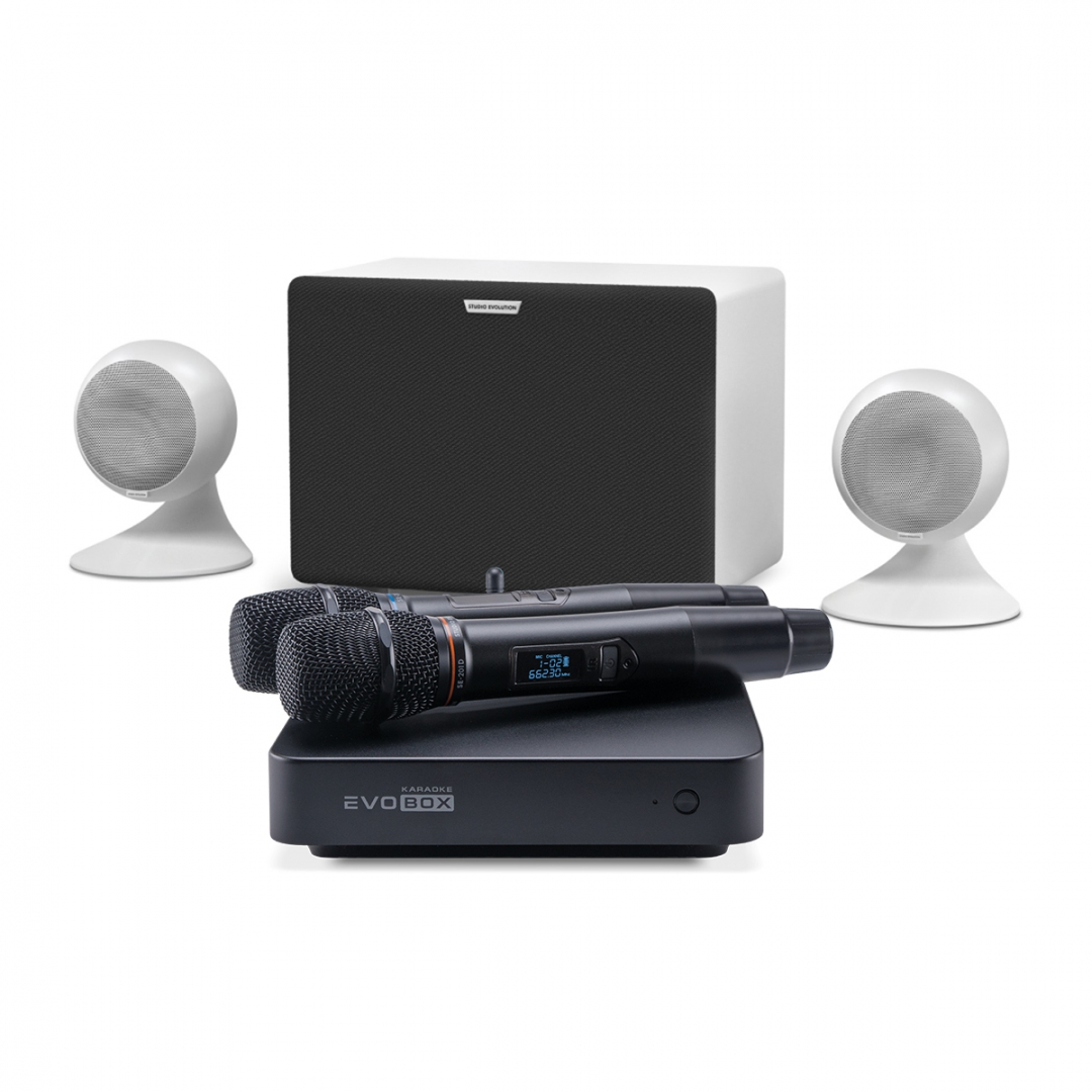 караоке-комплект EVOBOX Classic + EvoSound Sphere 2.1 в Крымске