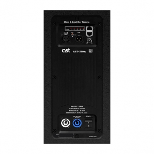 Активная акустическая система AST-310A в Крымске