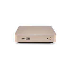 EVOBOX с микрофонами в Крымске
